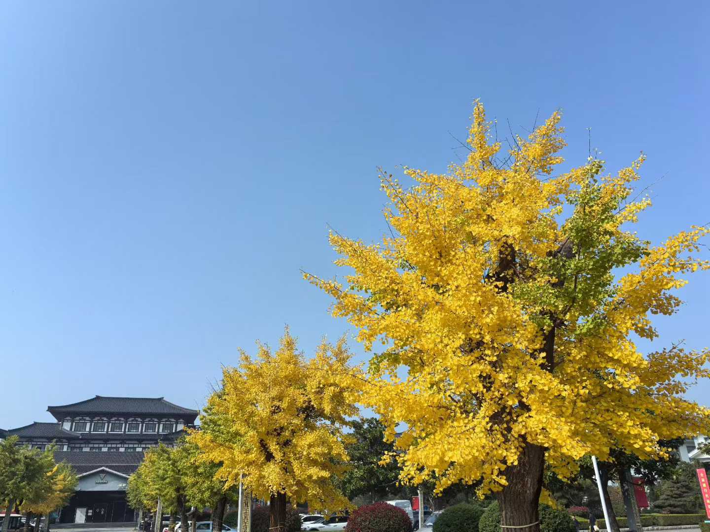 微信图片_2025-11-18_105432_855.jpg
