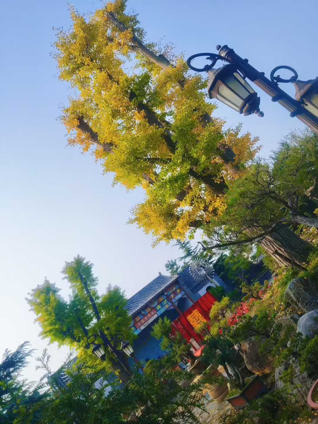 微信图片_2025-11-18_105434_687.jpg