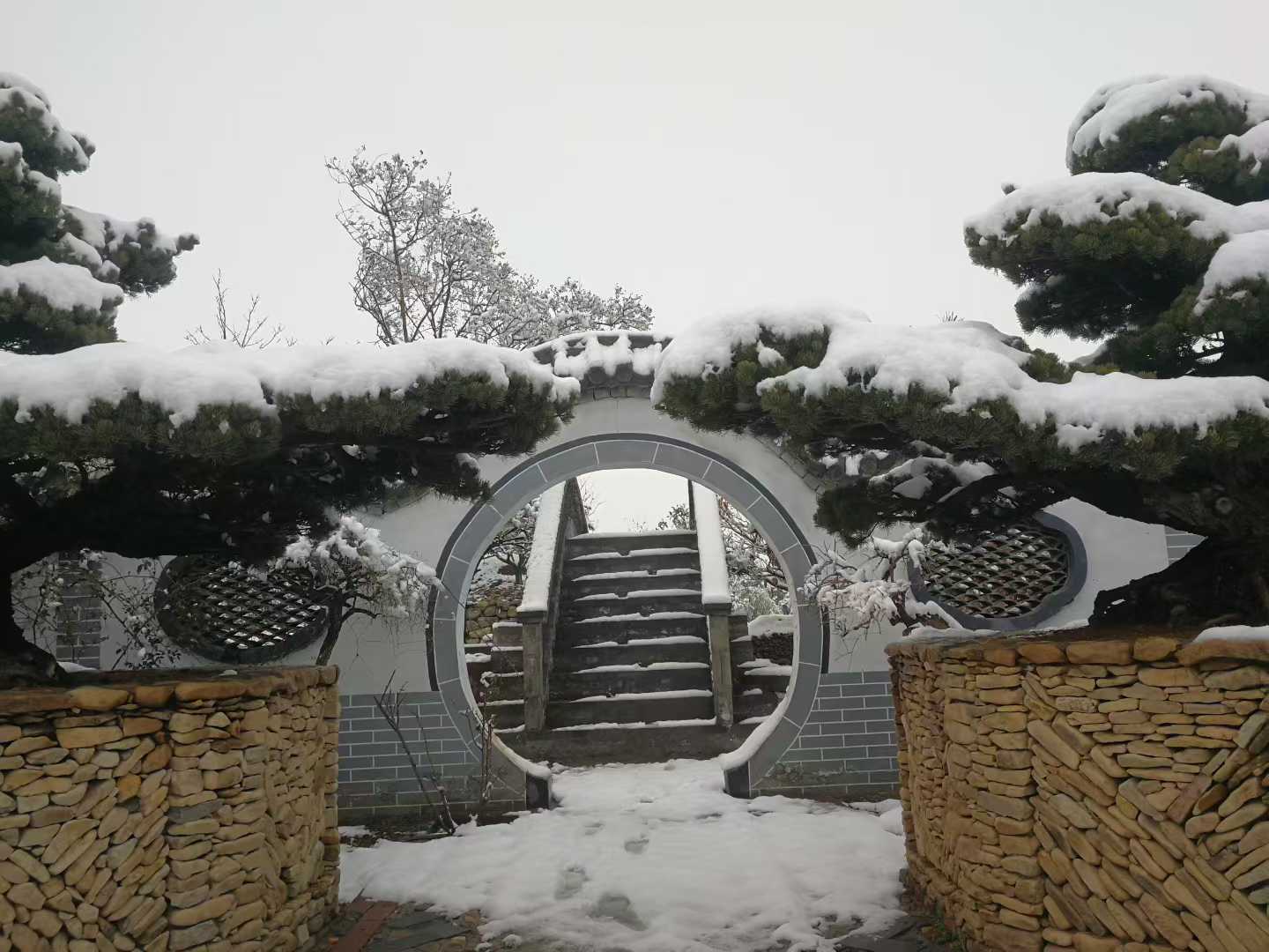 微信图片_2025-12-14_205622_517.jpg