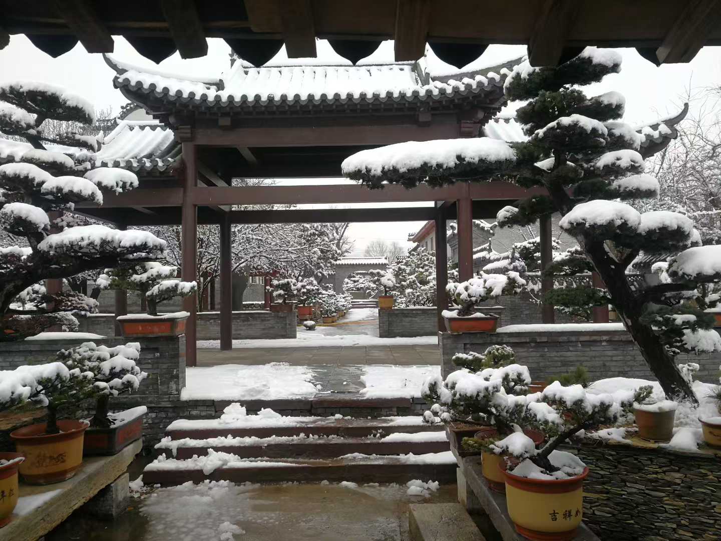 微信图片_2025-12-14_205613_921.jpg