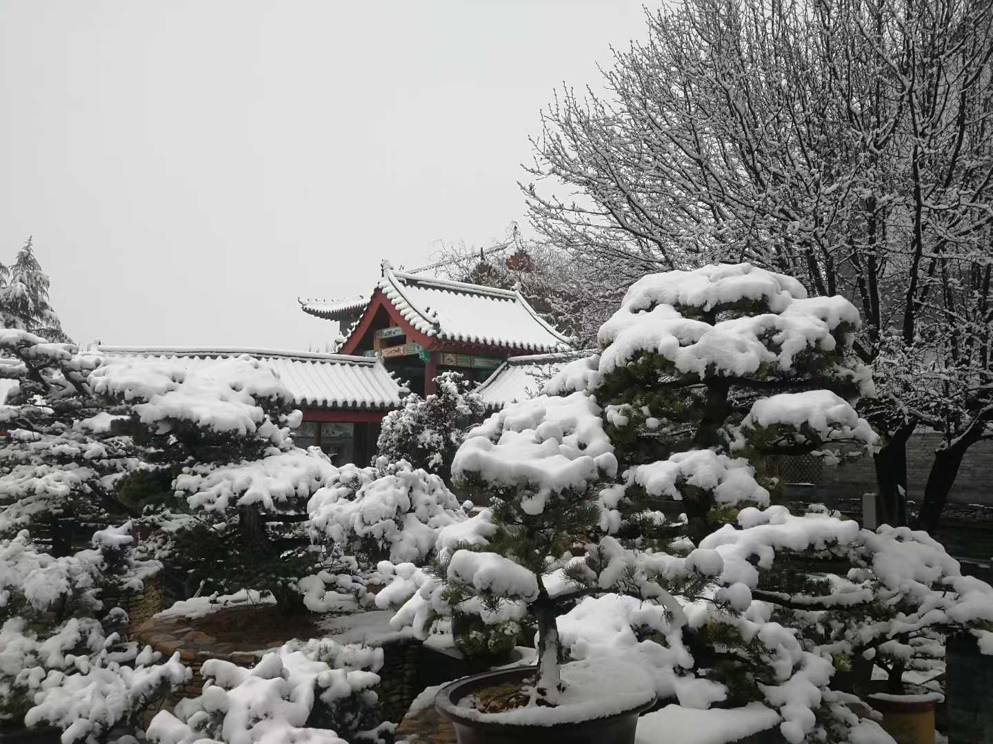微信图片_2025-12-14_205626_797.jpg
