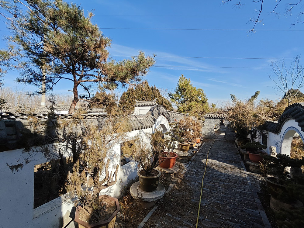MVIMG_20251221_133546.jpg