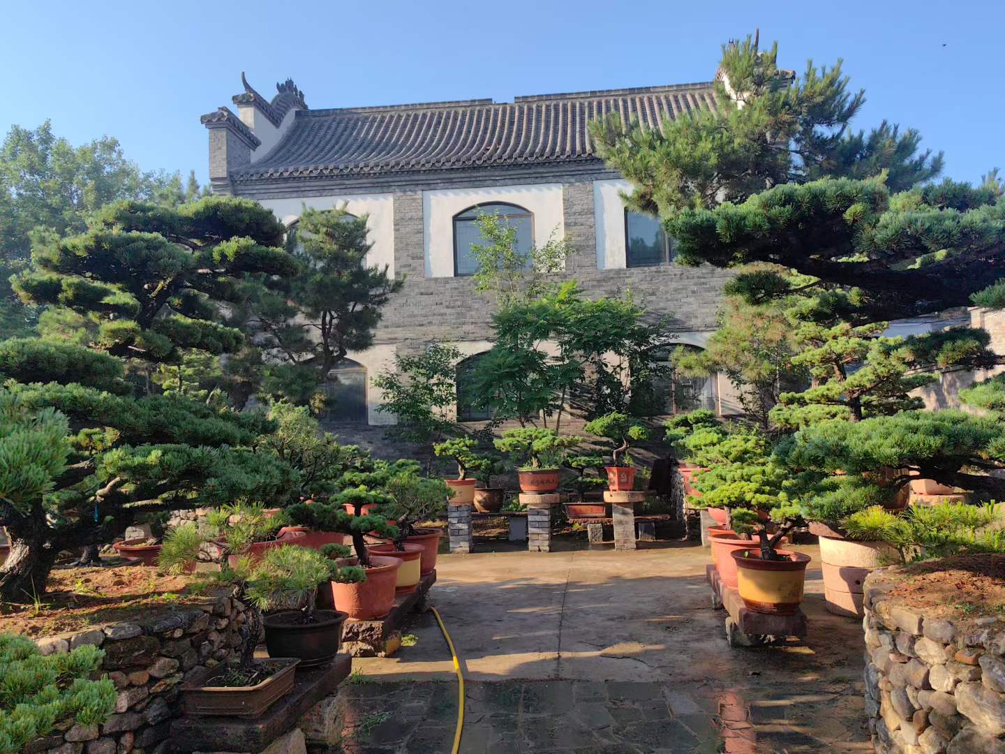 微信图片_2026-05-30_231519_565.jpg
